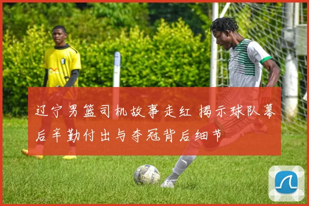 辽宁男篮司机故事走红 揭示球队幕后辛勤付出与夺冠背后细节